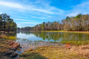 21438 Doru Dr, Cleveland, TX 77328 - Photo 47