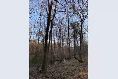 21438 Doru Drive, Cleveland, TX 77328 - Photo 23