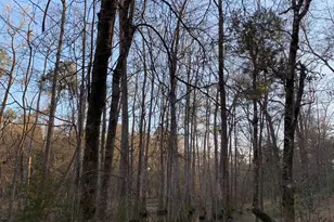 21438 Doru Dr, Cleveland, TX 77328 - Photo 23