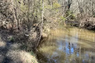 21438 Doru Dr, Cleveland, TX 77328 - Photo 33