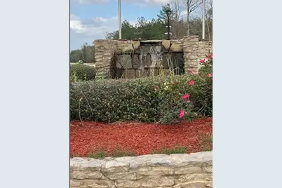 21438 Doru Drive, Cleveland, TX 77328 - Photo 11