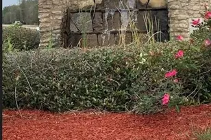 21438 Doru Dr, Cleveland, TX 77328 - Photo 11