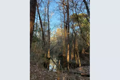 21438 Doru Drive, Cleveland, TX 77328 - Photo 25