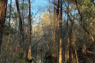 21438 Doru Dr, Cleveland, TX 77328 - Photo 25