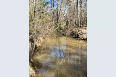 21438 Doru Drive, Cleveland, TX 77328 - Photo 29