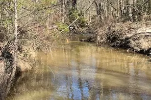 21438 Doru Dr, Cleveland, TX 77328 - Photo 29