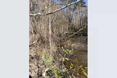 21438 Doru Drive, Cleveland, TX 77328 - Photo 39