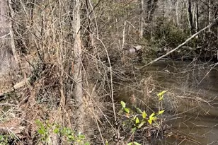 21438 Doru Dr, Cleveland, TX 77328 - Photo 39