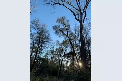 21438 Doru Drive, Cleveland, TX 77328 - Photo 21