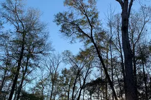 21438 Doru Dr, Cleveland, TX 77328 - Photo 21