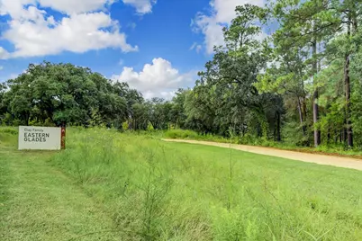 6227 Haskell Street, Houston, TX 77007 - Photo 37