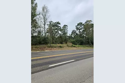 1006 S Houston Avenue, Livingston, TX 77351 - Photo 3