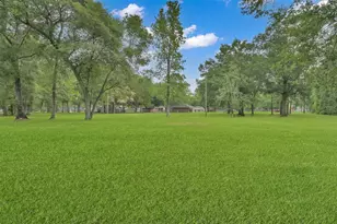 19710 Lowe St, Porter, TX 77365 - Photo 15