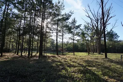 1087 County Road 318, San Augustine, TX 75972 - Photo 9