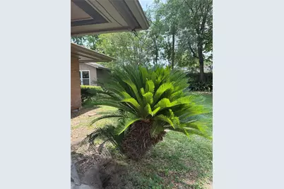 905 Persimmon Avenue, Lufkin, TX 75904 - Photo 25
