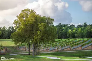 10095 Lehman Dr, Willis, TX 77318 - Photo 31