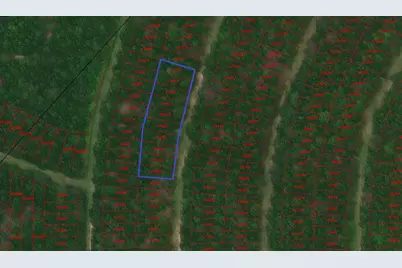 0 Wood Forest, Livingston, TX 77351 - Photo 1