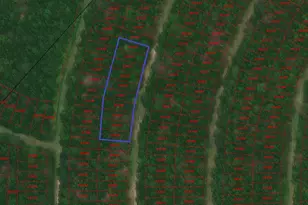 0 Wood Forest, Livingston, TX 77351 - Photo 1