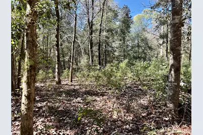 Tbd Churton Road, Livingston, TX 77351 - Photo 7