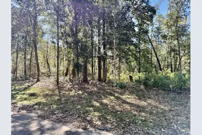 Tbd Churton Road, Livingston, TX 77351 - Photo 3