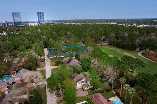 2 Box Turtle Ln, The Woodlands, TX 77380 - Photo 3
