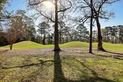 2 Box Turtle Lane, The Woodlands, TX 77380 - Photo 7
