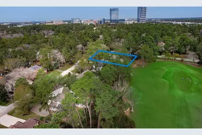 2 Box Turtle Lane, The Woodlands, TX 77380 - Photo 1