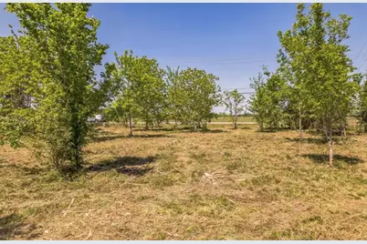 3534 County Road 155, Alvin, TX 77511 - Photo 3