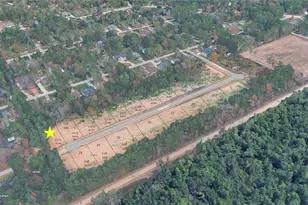 Lot 531 Indigo Way, Porter, TX 77365 - Photo 1