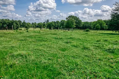 0000 Mock Lane, Montgomery, TX 77484 - Photo 7