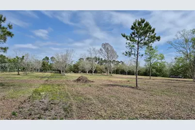 1914 1st  St  Lot 2 Street, Liverpool, TX 77577 - Photo 7