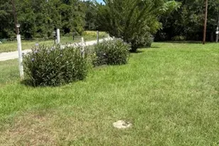 25660 Cemetery Rd, Bedias, TX 77831 - Photo 5