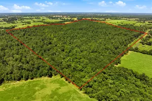 118 25 Acres Cr 278C, Anderson, TX 77830 - Photo 1