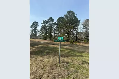 Lot 25 Colomb Street, Trinity, TX 75862 - Photo 3