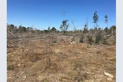 Lot 13 County Road 175, Garrison, TX 75946 - Photo 3