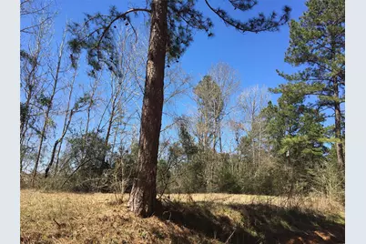 Lot 13 County Road 175, Garrison, TX 75946 - Photo 5