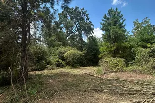 11919 Hickory Wood St, Pinehurst, TX 77362 - Photo 7