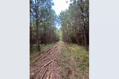 11919 Hickory Wood Street, Pinehurst, TX 77362 - Photo 9