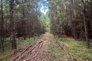 11919 Hickory Wood St, Pinehurst, TX 77362 - Photo 9