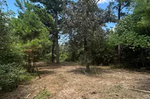 11919 Hickory Wood St, Pinehurst, TX 77362 - Photo 3