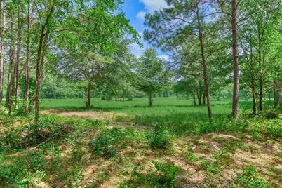 Tract C Sharp View Road, Montgomery, TX 77356 - Photo 13