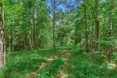 Tract C Sharp View Road, Montgomery, TX 77356 - Photo 7