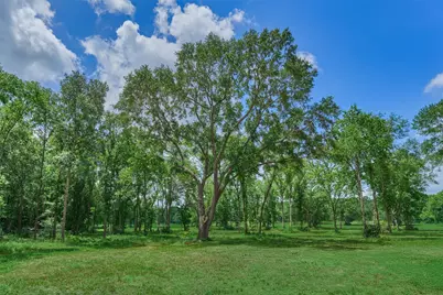Tract C Sharp View Road, Montgomery, TX 77356 - Photo 5