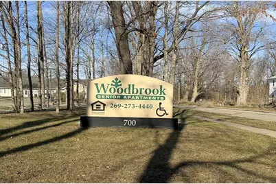 700 N Douglas Avenue, Three Rivers, MI 49093 - Photo 3