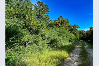 Lot 10 Ranch Road Dr Drive, Normangee, TX 77871 - Photo 3