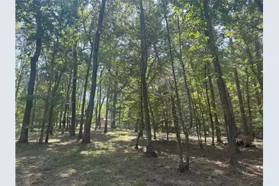 777 S Cape Royale Drive, Coldspring, TX 77331 - Photo 37