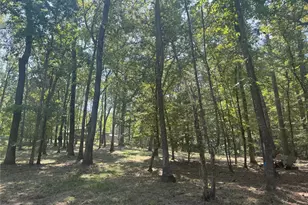 777 S Cape Royale Dr, Coldspring, TX 77331 - Photo 37