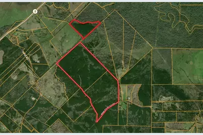 Parcel Id 30383 Fenley Flat, Pollok, TX 75969 - Photo 1