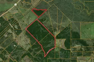 Parcel Id 30383 Fenley Flat, Pollok, TX 75969 - Photo 1