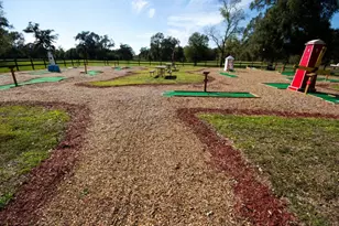 283 Wood Fern Dr, Cleveland, TX 77327 - Photo 23